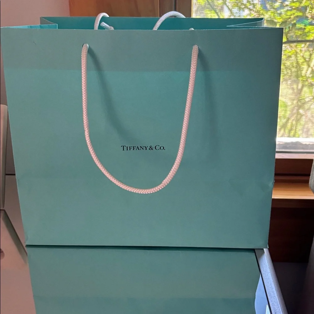 Tiffany & Co. good bag